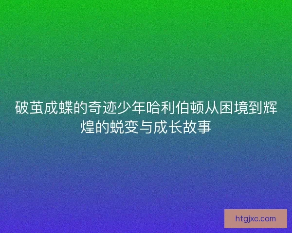 破茧成蝶的奇迹少年哈利伯顿从困境到辉煌的蜕变与成长故事