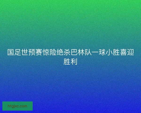 国足世预赛惊险绝杀巴林队一球小胜喜迎胜利