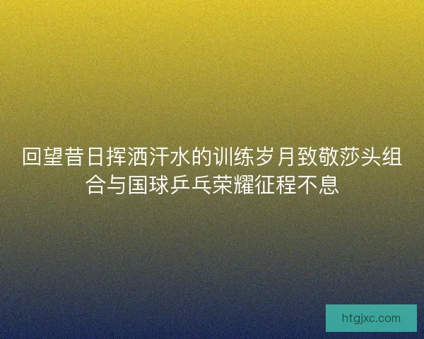 回望昔日挥洒汗水的训练岁月致敬莎头组合与国球乒乓荣耀征程不息