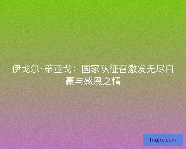 伊戈尔·蒂亚戈：国家队征召激发无尽自豪与感恩之情